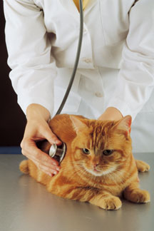 CompleteMedicalAssesment CompleteMedicalAssesment